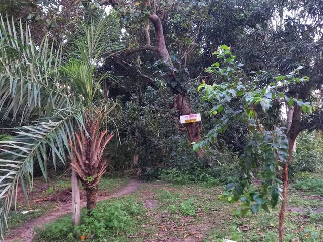 #21 - Terreno para Venda em Aracaju - SE