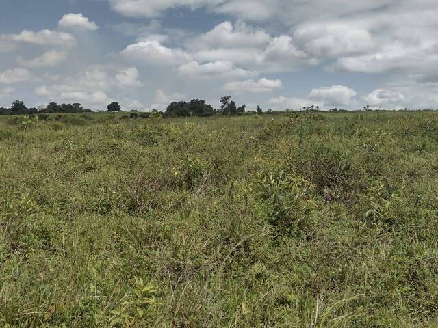 #18 - Chácara para Venda em Aracaju - SE - 3