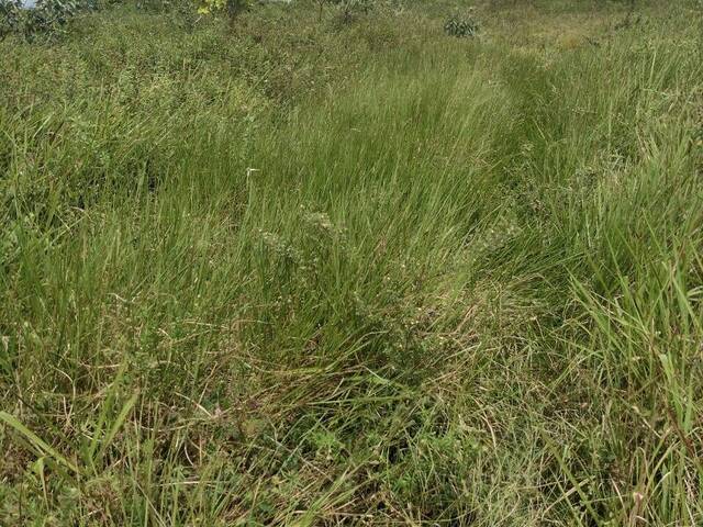 #17 - Fazenda para Venda em Aracaju - SE