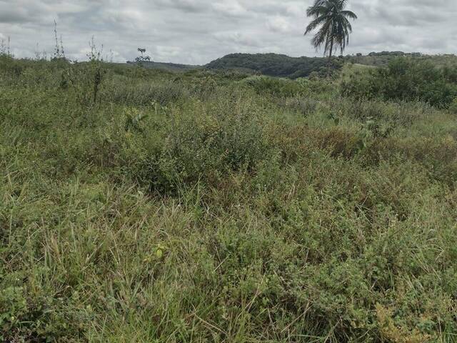 #17 - Fazenda para Venda em Aracaju - SE